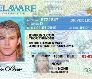 Delaware (DE) – Drivers License PSD Template Download