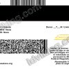 Florida (FL) – Drivers License PSD Template Download