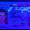 Georgia (GA) Drivers License- Scannable Fake ID