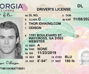 Georgia (GA) NEW- Drivers License PSD Template Download