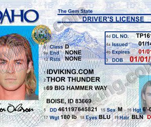 Idaho (ID) – Drivers License PSD Template Download