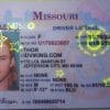 Illinois NEW (IL) Drivers License – Scannable Fake ID