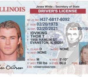 Illinois NEW (IL) under 21 Drivers License – Scannable Fake ID - Image 6