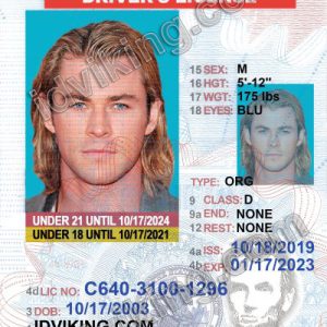 Illinois U21 (IL) – Drivers License PSD Template Download