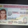 Louisiana (LA) Drivers License- Scannable Fake ID