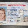 Michigan (MI) Drivers License- Scannable Fake ID