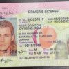 Nevada (NV) Drivers License- Scannable Fake ID