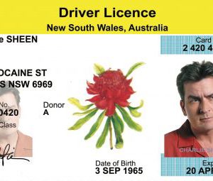New South Wales License PSD Template – (Australia)