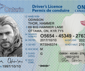 (ON) Ontario Drivers License – Scannable Fake ID