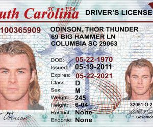 South Carolina OLD (SC) Drivers Licence- Scannable Fake ID
