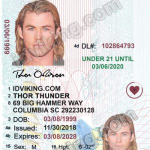 South Carolina U21 (SC) – Drivers License PSD Template Download