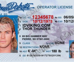 South Dakota (SD) – Drivers License PSD Template Download