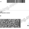 Tennessee (TN) – Drivers License PSD Template Download