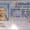 Texas (TX) Drivers License- Scannable Fake ID