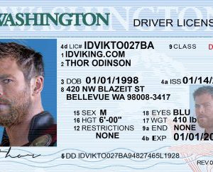 Washington NEW (WA) Drivers License – Scannable Fake ID