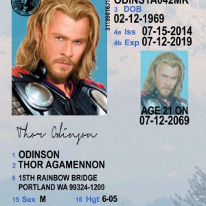 Washington (WA) Under 21 Drivers License- Scannable Fake ID